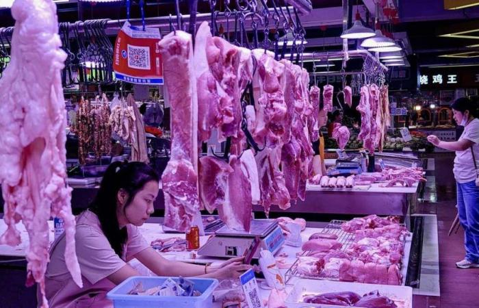 China kündigt die Eröffnung einer Antidumpinguntersuchung zu Einfuhren von europäischem Schweinefleisch an