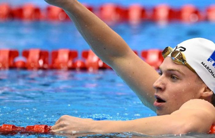 Sport – Schwimmen – Französische Meisterschaften: Léon Marchand, Goldschnitt
