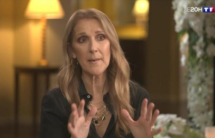 „Fast 17 Jahre alt…“: Auf TF1 blickt Céline Dion auf die Anfänge ihrer neurologischen Erkrankung zurück