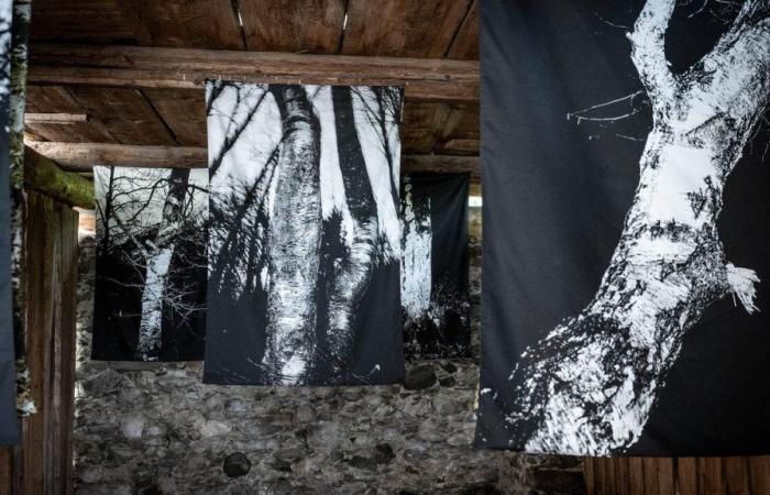 Die dritte Bregaglia-Biennale verwandelt Bondo in eine Open-Air-Kunstgalerie