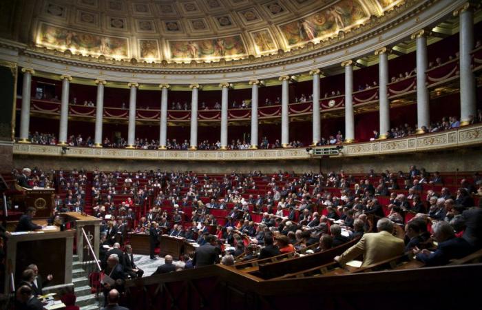 Parlamentswahlen 2024: Entdecken Sie die Namen der 74 Kandidaten, die um die zehn Abgeordnetensitze in Essonne kämpfen werden