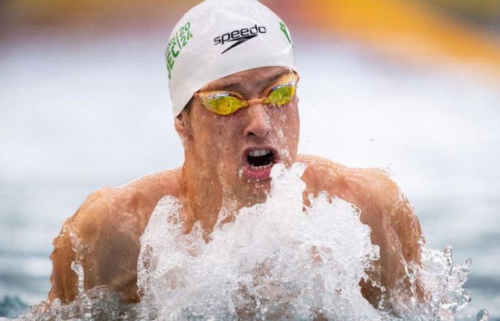 Olympische Spiele 2024 in Paris – Schwimmen: „Es ist unerwartet“, Antoine Viquerat aus Toulouse qualifiziert sich für die Olympischen Spiele