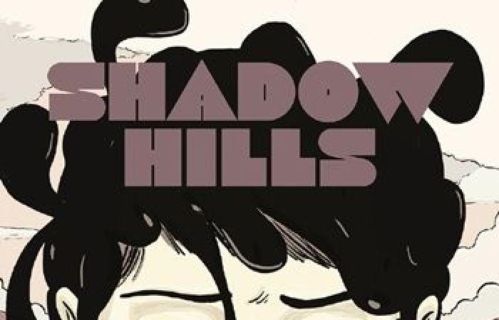 „Shadow Hills“: Die Förderung von Schiefergas ist fraglich…