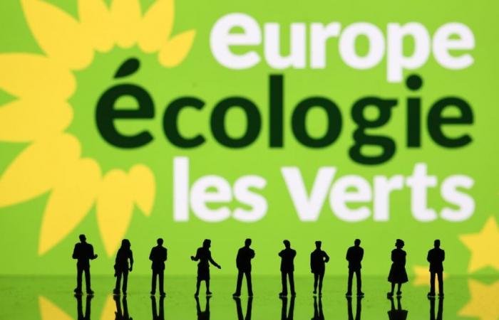 „Die Situation war unhaltbar geworden“: In Yvelines gibt der einzige umweltbewusste Bürgermeister seinen Parteiausweis ab