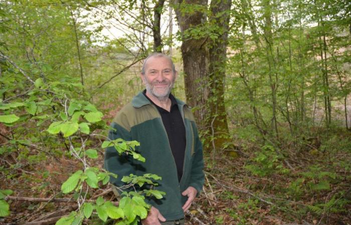 Er startet einen SOS-Wald in Gefahr „Schlag“