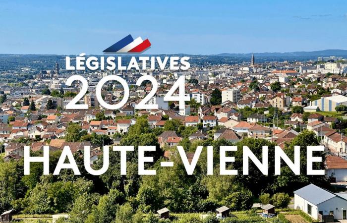 LEGISLATIVE 2024. Die Kandidaten und die Themen in den drei Wahlkreisen von Haute-Vienne