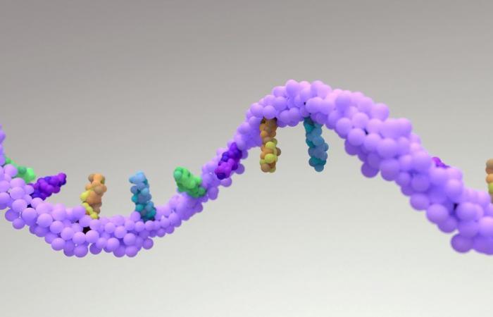 Messenger-RNA: zweite Wachstumswelle