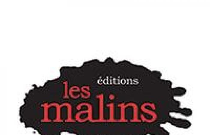 Kommunikations- und Marketingkoordinator | Les Malins-Ausgaben