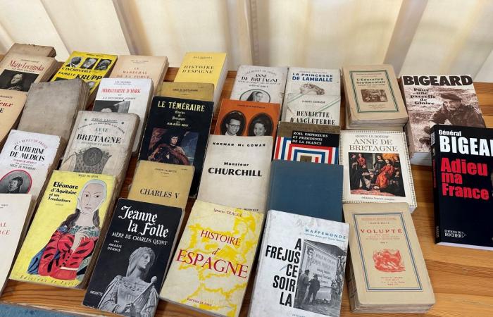 Büchern ein zweites Leben schenken und anderen eine Freude machen: das Ziel der Hambacher Bücherbörse