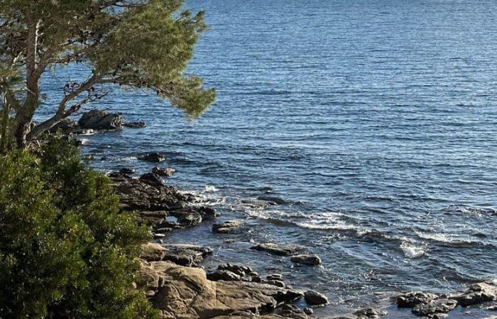 Ein Franzose wurde tot in einer Tiefe von 10 m aufgefunden… Dieser katalanische Strand verzeichnete an diesem Sonntag einen zweiten Todesfall