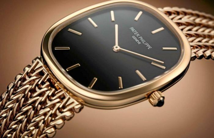 Kennen Sie die Ellipse d’Or-Uhr von Patek Philippe?