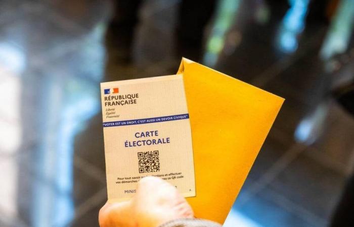 Parlamentswahlen 2024. Wer sind die 56 Kandidaten in den acht Wahlkreisen von Finistère?