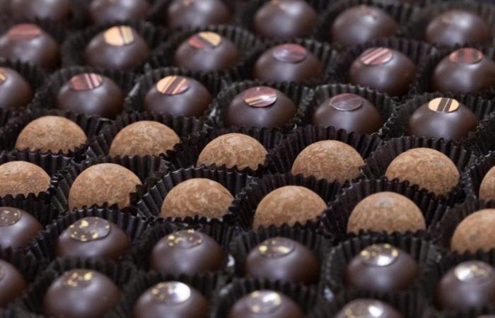 Die Schokolade der Zukunft wird wenig oder gar keinen Kakao enthalten