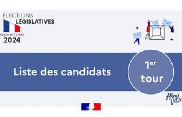 Parlamentswahlen 2024 – Kandidatenliste für die 1. Runde in Lot-et-Garonne – KANDIDATEN – Parlamentswahlen 2024 – Politische Wahlen – Staatsbürgerschaft – Staatliche Maßnahmen