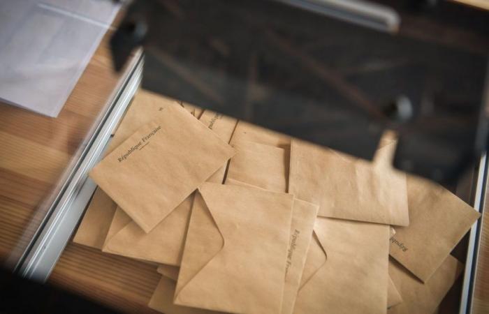 Parlamentswahlen 2024: der Etikettenwalzer im Wahlkreis Toul