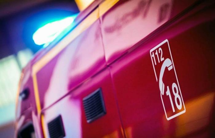 Eure-et-Loir: Sieben Menschen, darunter fünf Jugendliche im Alter von 19 bis 20 Jahren, kommen bei einem Verkehrsunfall in der Nähe von Chartres ums Leben