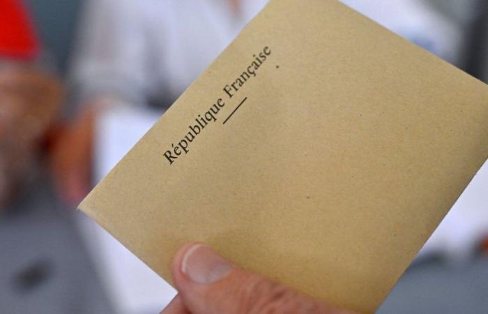 Parlamentswahlen 2024: Kandidaten in der 1. Runde in Gard