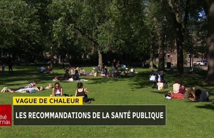 Hitzewelle in Quebec: Ratschläge und Aufruf zur Wachsamkeit