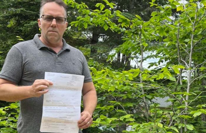 Eine Geldstrafe von 1.426 US-Dollar für einen von Hydro-Québec ohne Genehmigung der Stadt gefällten Baum