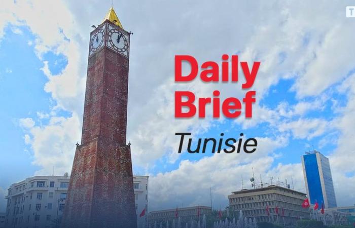 Täglicher nationaler Bericht vom 19. Juni 2024: Todesfälle von 35 tunesischen Pilgern
