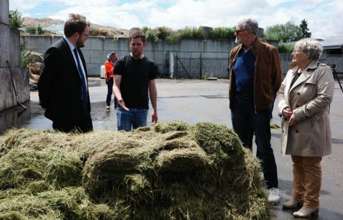 In Eure will das Ministerium mit gemähtem Gras Gas produzieren