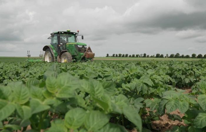 Biobauern waren besorgt über die Verzögerung der staatlichen Beihilfen