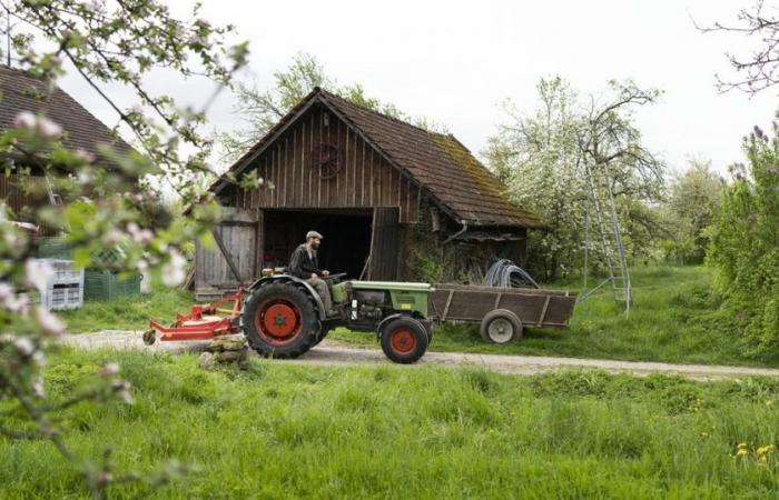 Bern reduziert seine Landwirtschaftsförderung für 2026-2029, aber weniger als erwartet – rts.ch