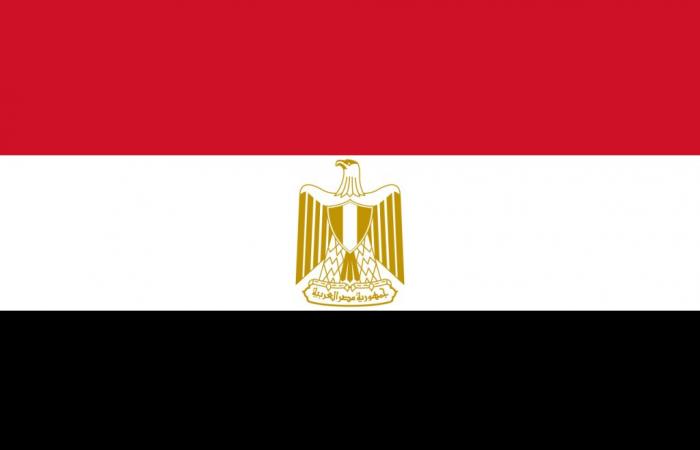 Ägypten: Kauf von Flüssigerdgas mit Zahlungsaufschub aufgrund der Wirtschaftskrise