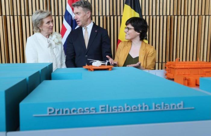 Energie: Elia schließt Verträge im Wert von 1,45 Milliarden Euro für die Prinzessin-Elisabeth-Insel ab