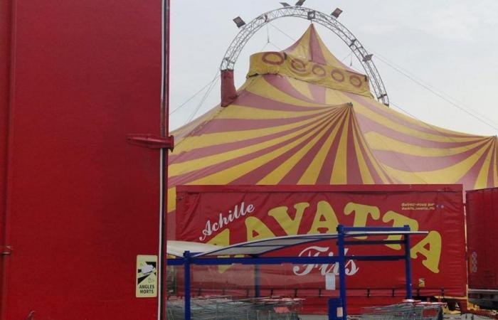 Der Fils-Zirkus Zavatta wurde ohne Genehmigung in Saint-Quentin installiert