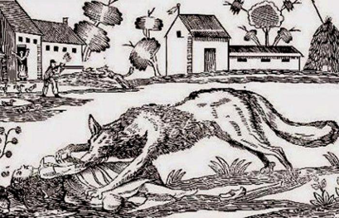 1710: Angriff des Wolfes in Beauvoisin… Zwei Tote!