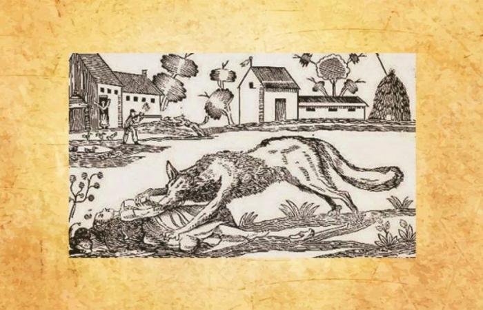 1710: Angriff des Wolfes in Beauvoisin… Zwei Tote!