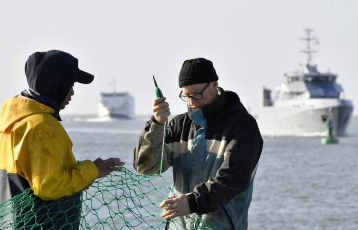 STANDPUNKT. „Teilen Sie die Realität der Fischereiindustrie und ihrer Unternehmen“