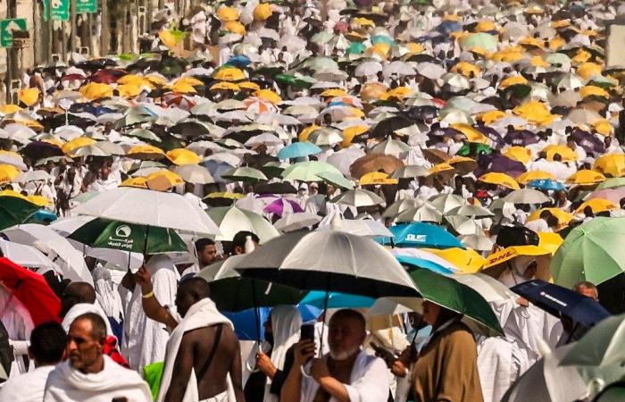 Pilgerreise nach Mekka: „Es lagen Leichen auf dem Boden“