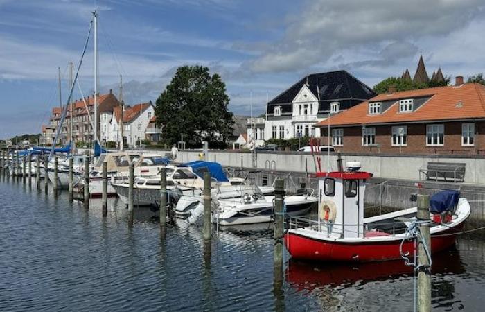 Ozempic, das Geheimrezept für die wirtschaftliche Gesundheit Dänemarks