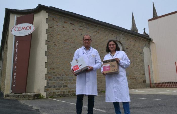 Einzigartig in Frankreich: Dieses Unternehmen aus Orne gibt seinen Schokoladen eine neue Form