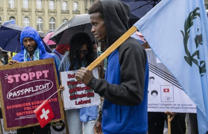 Hunderte Eritreer demonstrieren in Bern für ihre Rechte