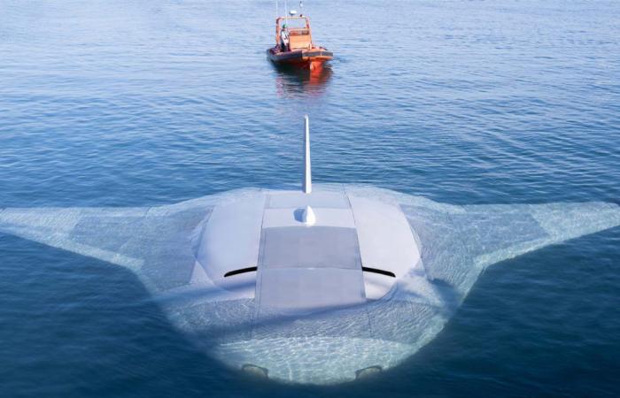 Diese Drohne ist der neue Schrecken der Meere