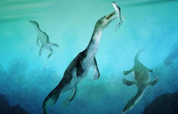 Entdeckung eines 246 Millionen Jahre alten polaren Seeungeheuers