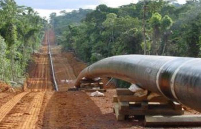 Niger Oil: Behörden verkünden schlechte Nachrichten für die Täter der Pipeline-Sabotage