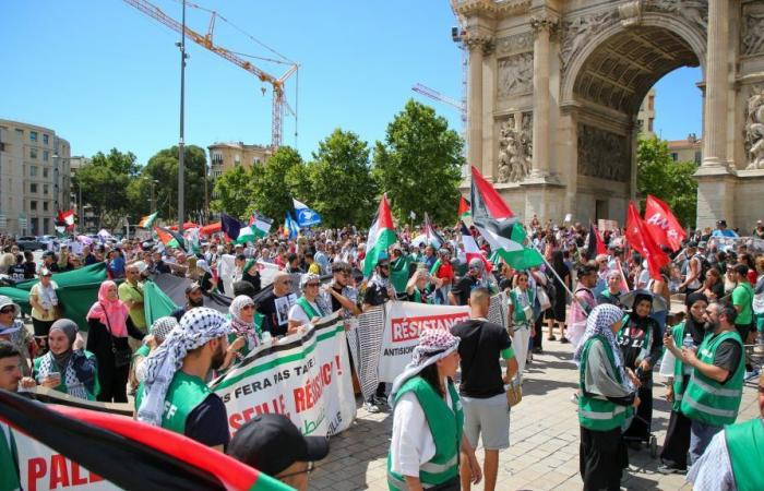 Frankreich – Welt – Parlamentarier laden sich zur pro-palästinensischen Demonstration in Marseille ein