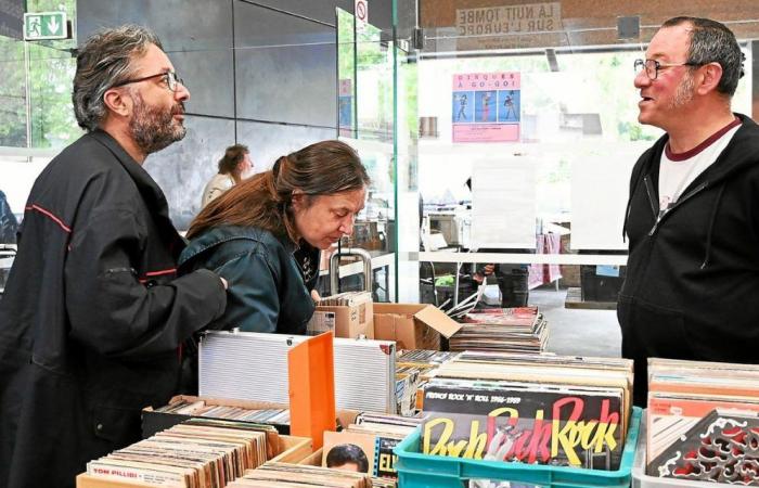Die Schallplattenmesse in Guingamp, ein Vergnügen für Sammler