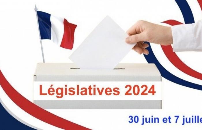 Legislative (Saône et Loire): Kleine Kampagneninformationen (3)