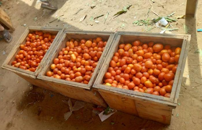 Lebenshaltungskosten: Der Preis für Tomaten ist in N’Djamena außer Reichweite