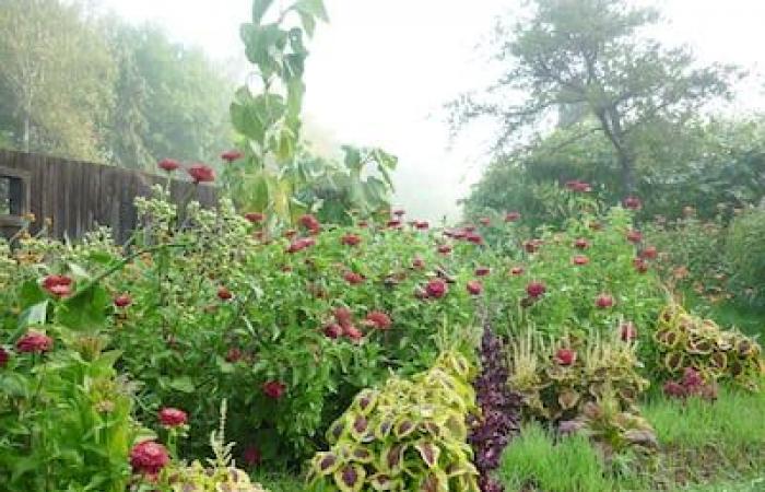 Les Jardins du Grand-Portage, einer der renommiertesten Bio-Gemüsegärten in Quebec, feiert sein 45-jähriges Jubiläum