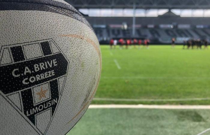 Rugby – Zwei Halbfinals für die Jugendkategorien von CA Brive, die auf ein oder zwei Schilde hoffen