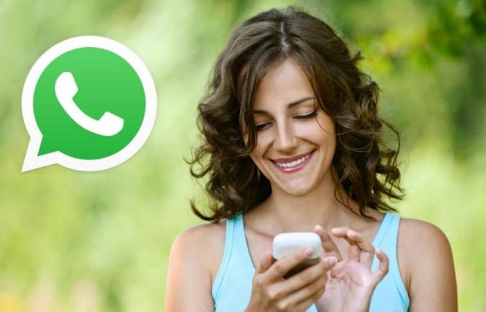 WhatsApp HD: eine neue Funktion, die alles einfacher macht!