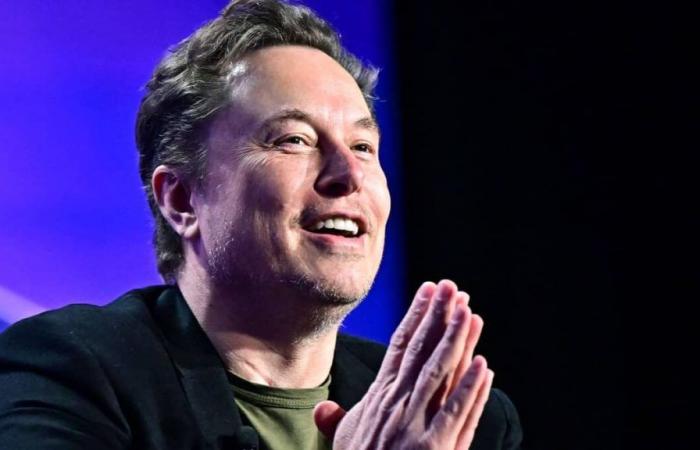 Elon Musk wird Vater des 12. Babys