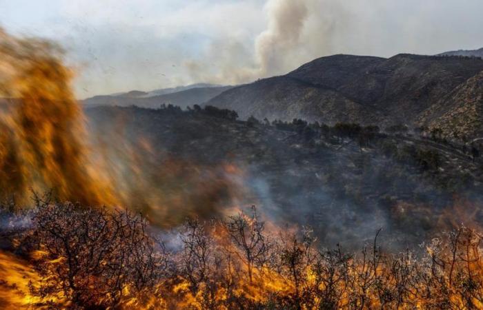 Extreme Waldbrände haben sich in 20 Jahren weltweit verdoppelt – rts.ch