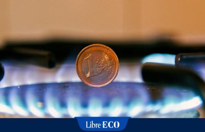 Die Europäische Union ist für den Fall einer neuen Gaskrise nicht gerüstet